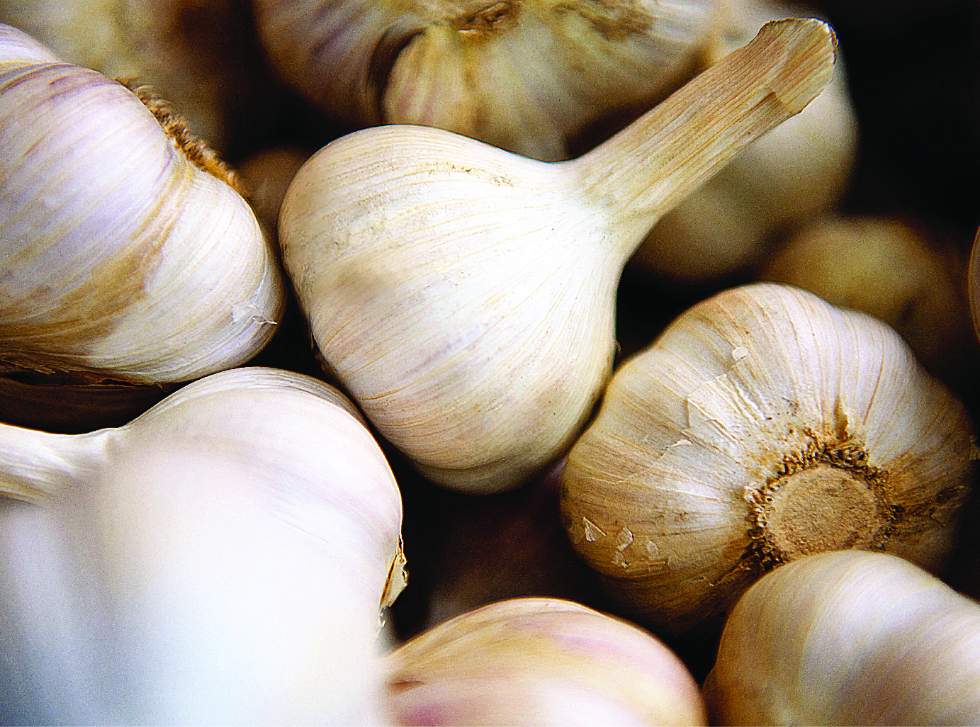 Fajar Mulia Transindo