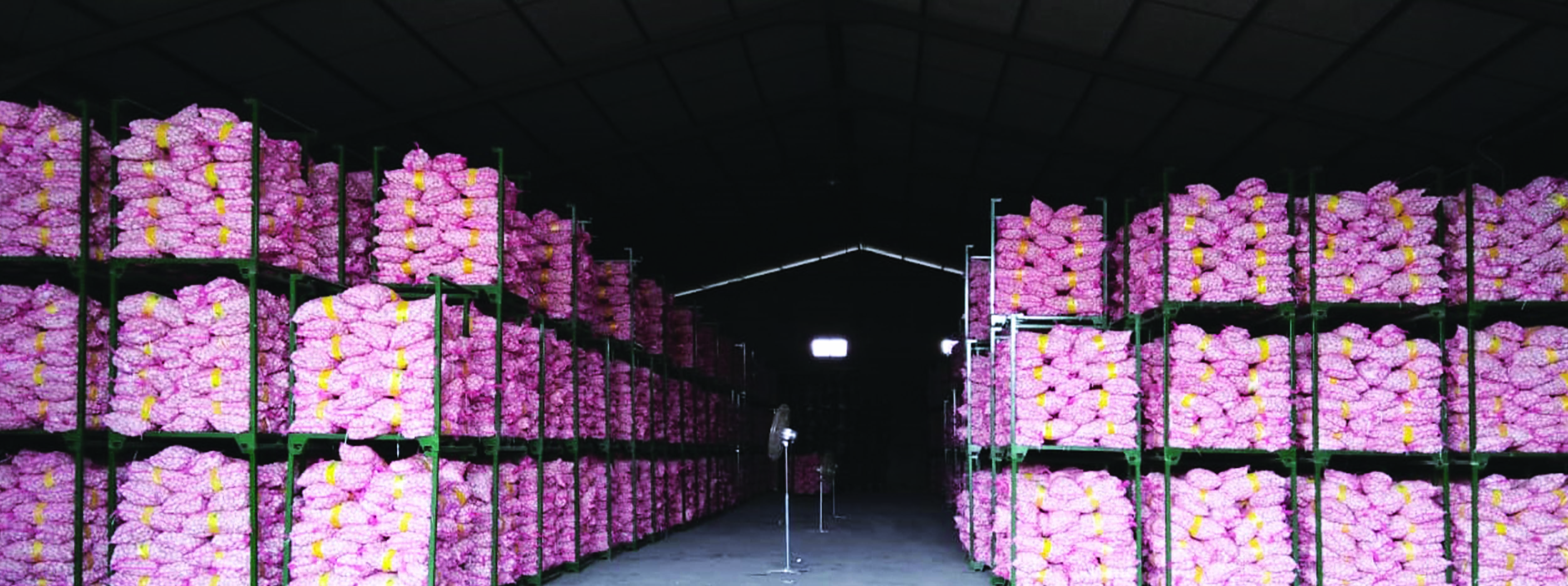 Fajar Mulia Transindo