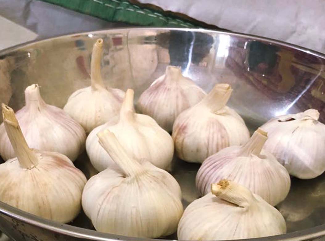 Fajar Mulia Transindo